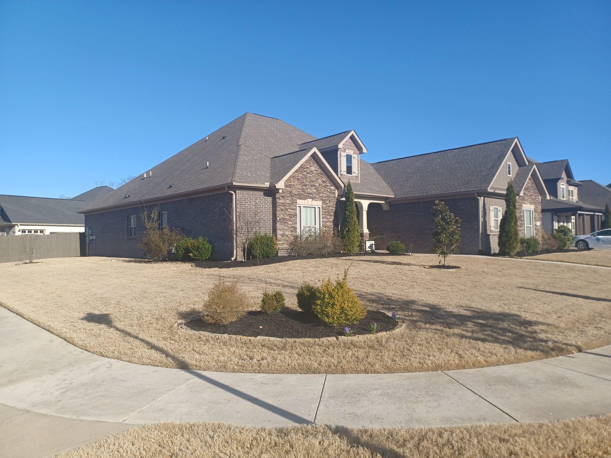 Blue Jay Painting Image