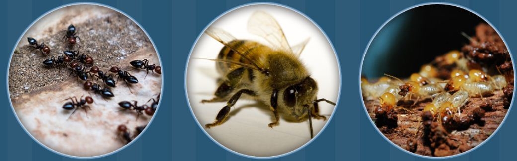 Tri-County Pest Control Inc