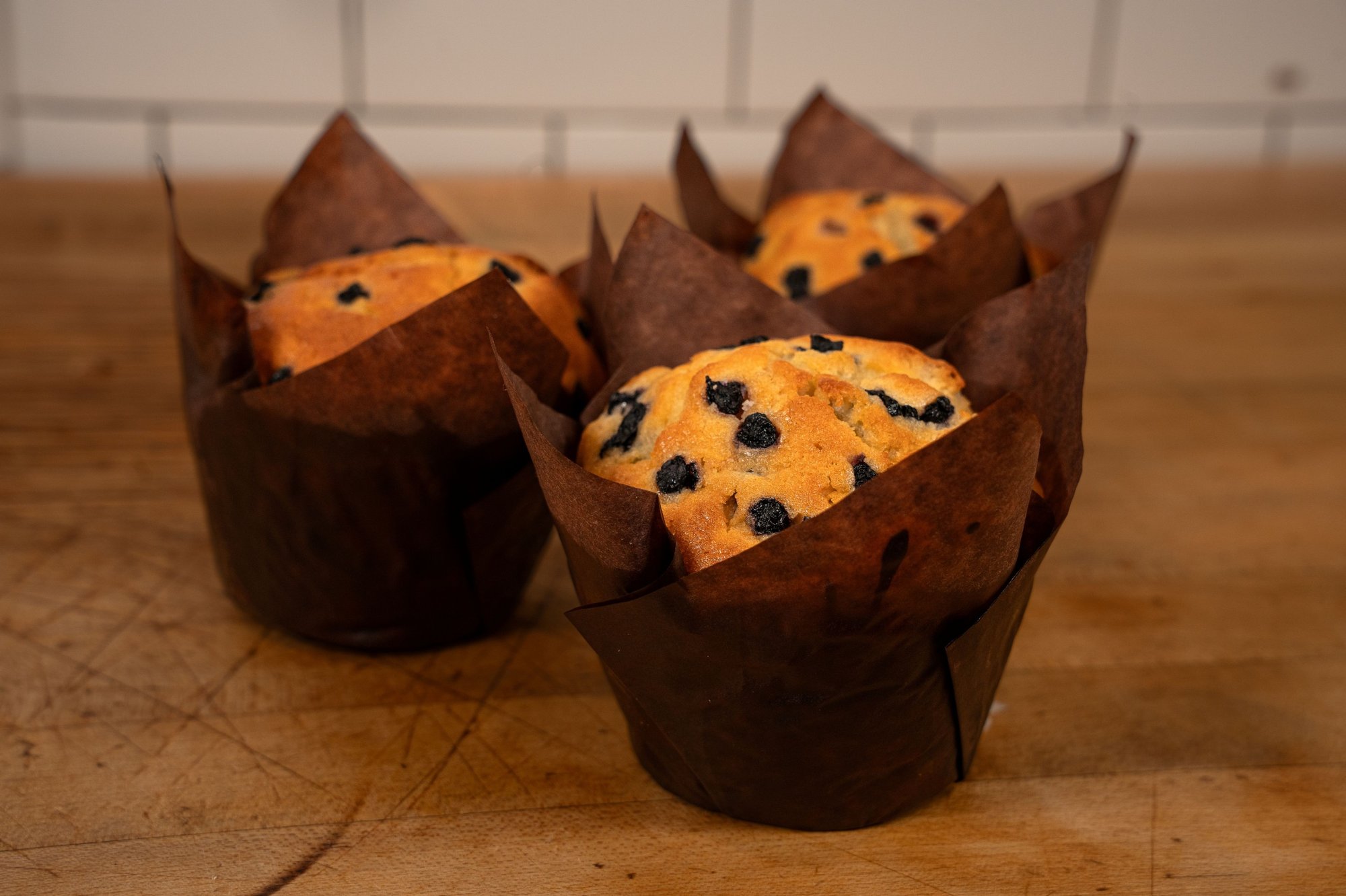 Blueberry Muffin
