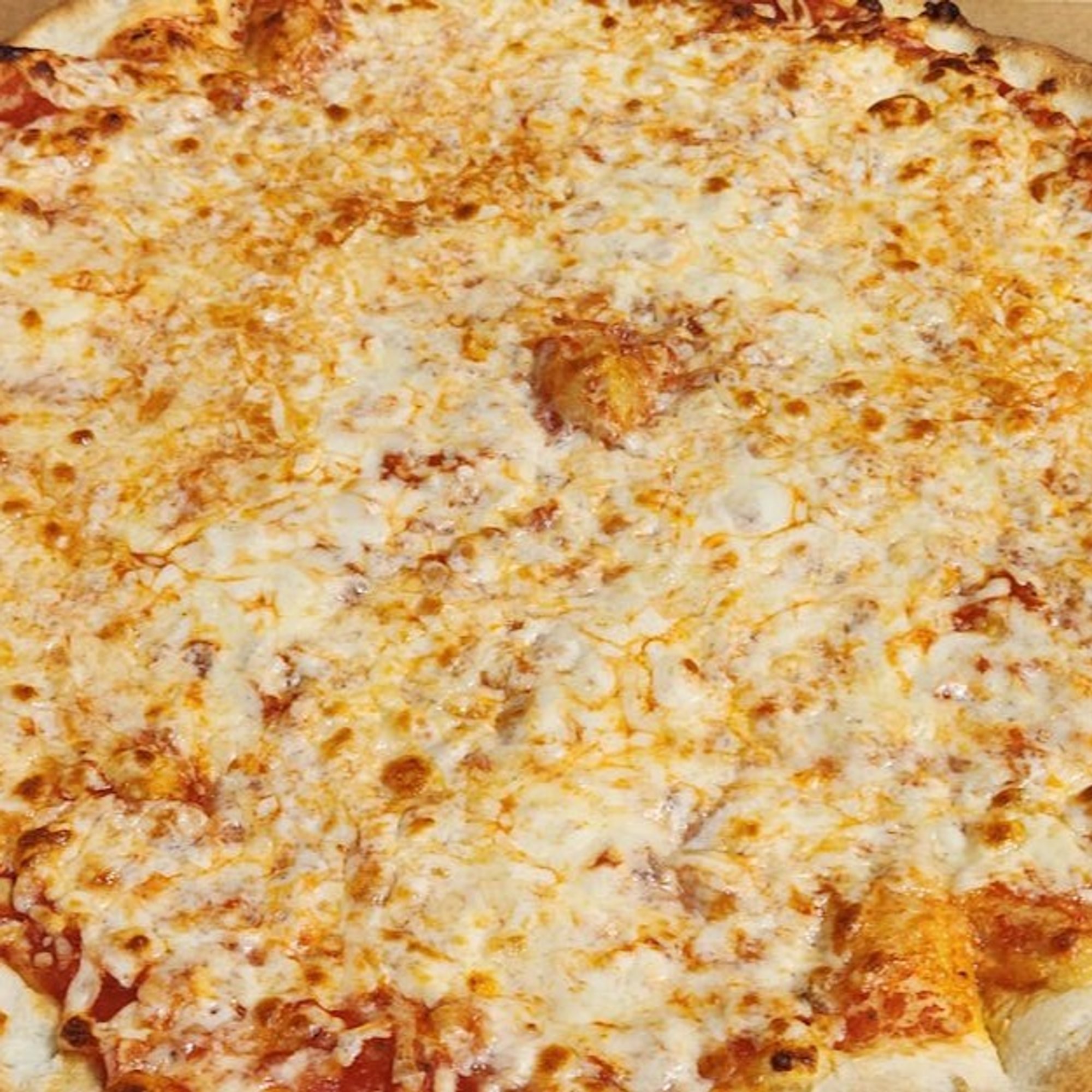 Traditional Pizza