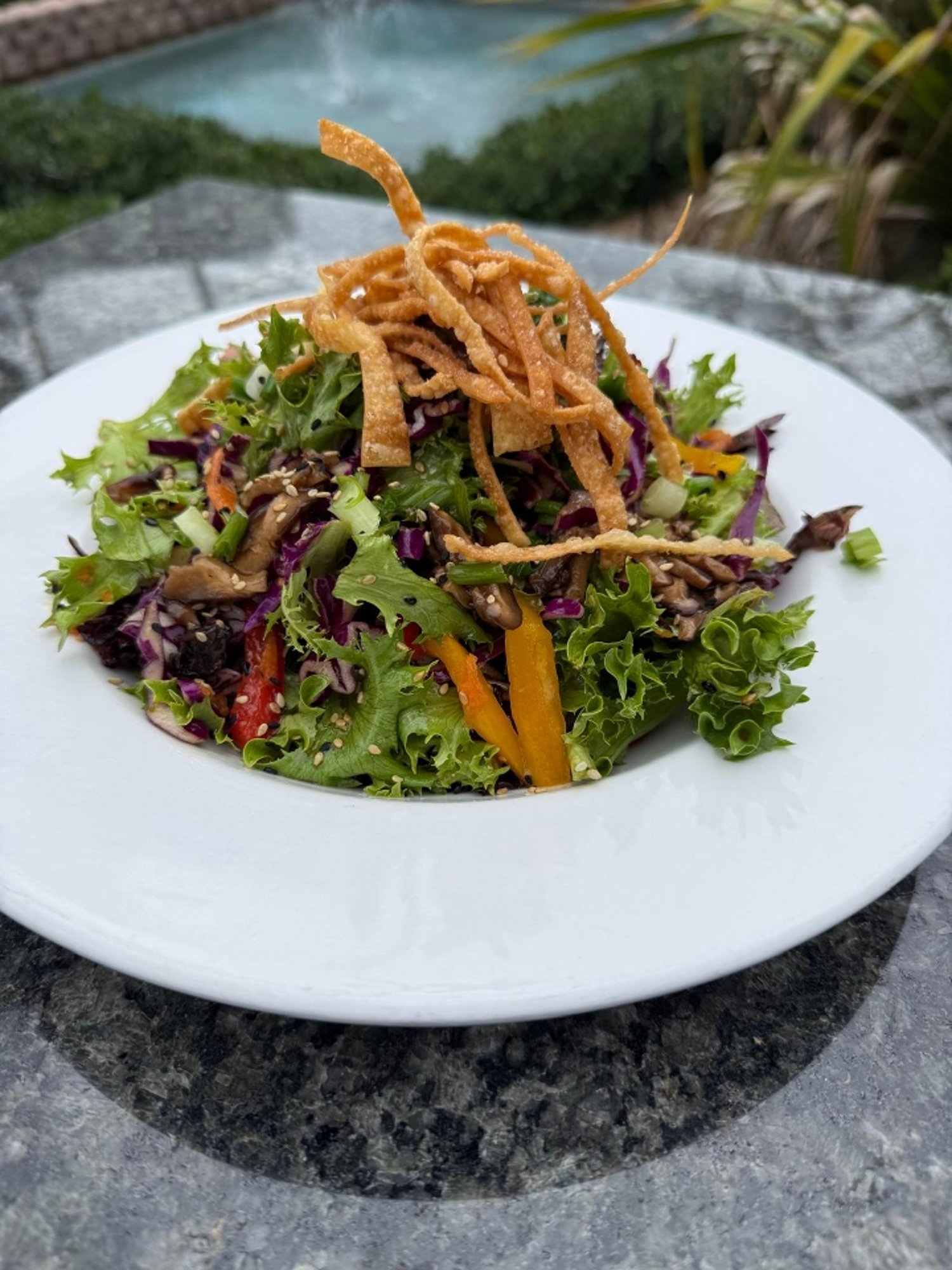 Asian Salad