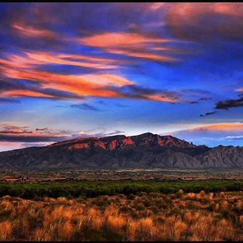 Creative Marketing Logo