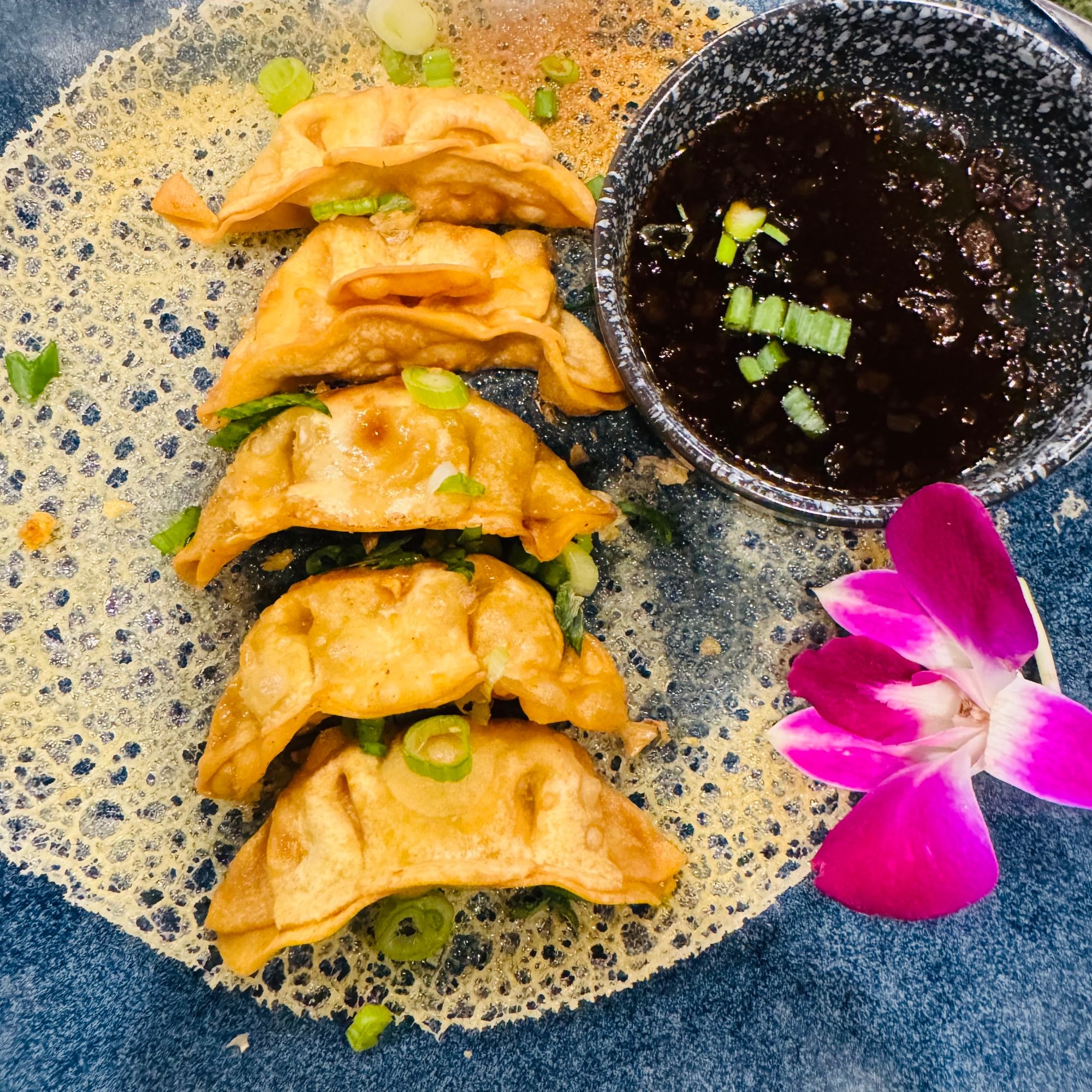 Shrimp Potsticker