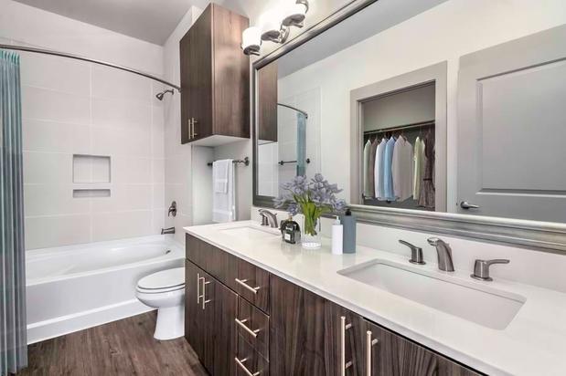 Images Camden Southline Apartments
