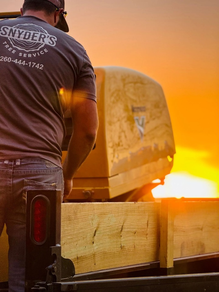 Snyder's Tree Service Image