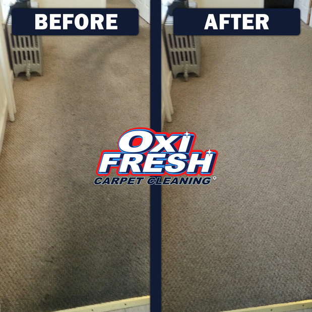 Images Oxi Fresh Carpet Cleaning