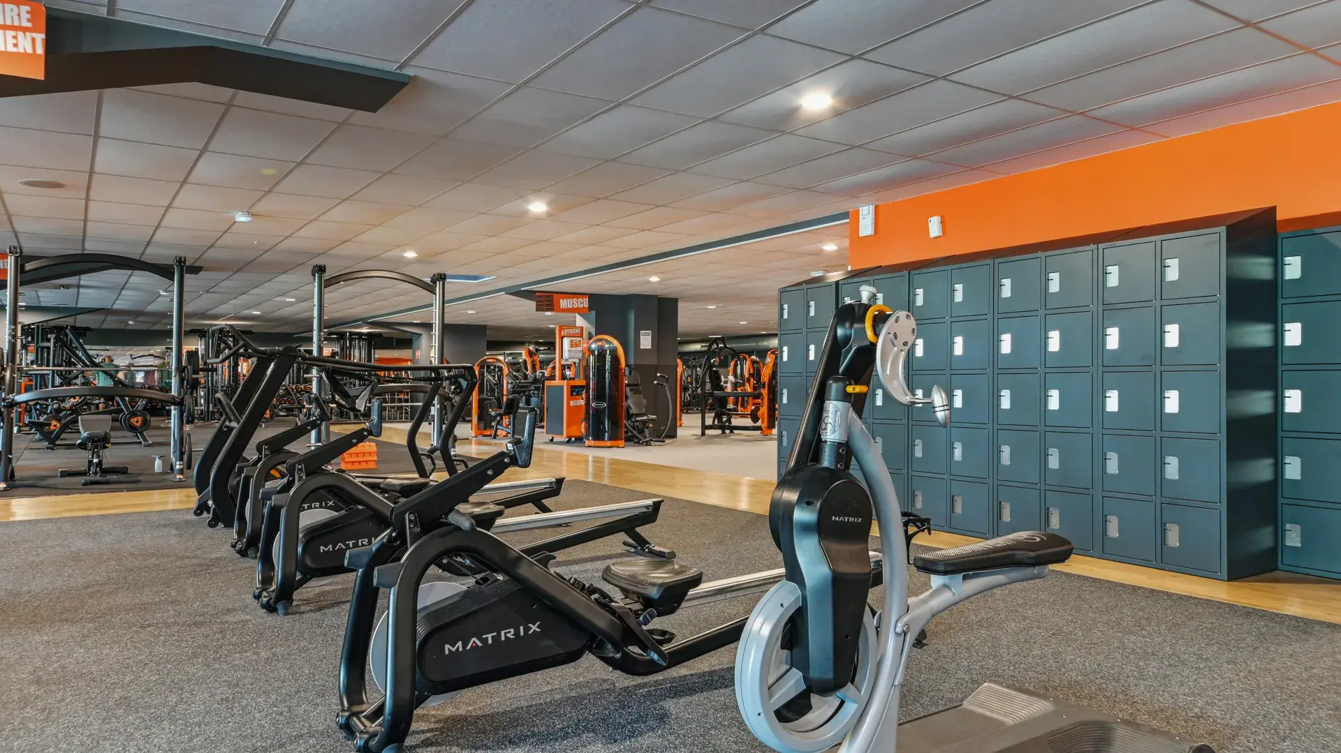 Miniature de la galerie