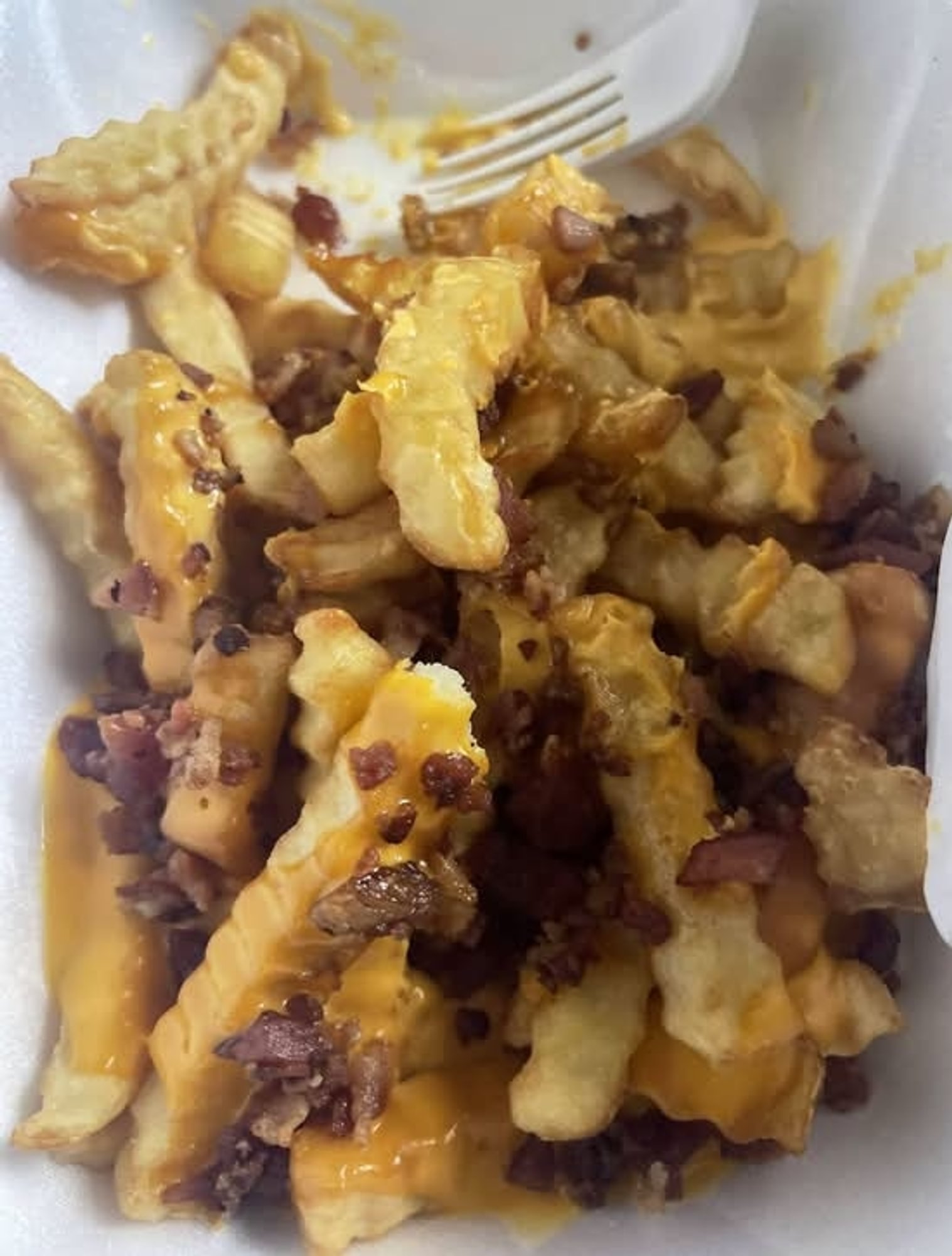 Cheese Bacon Ranch Fries