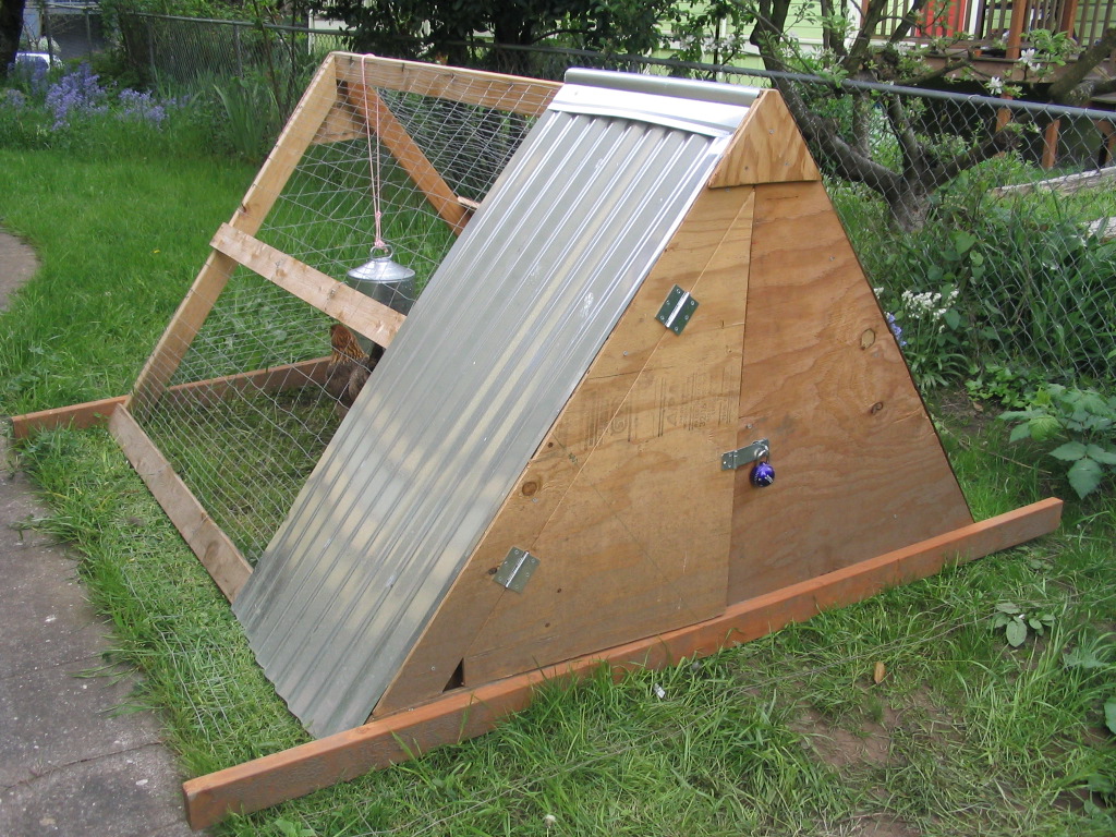 Automatic Coop Doors