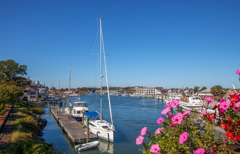 The Moorings at Lewes Photo