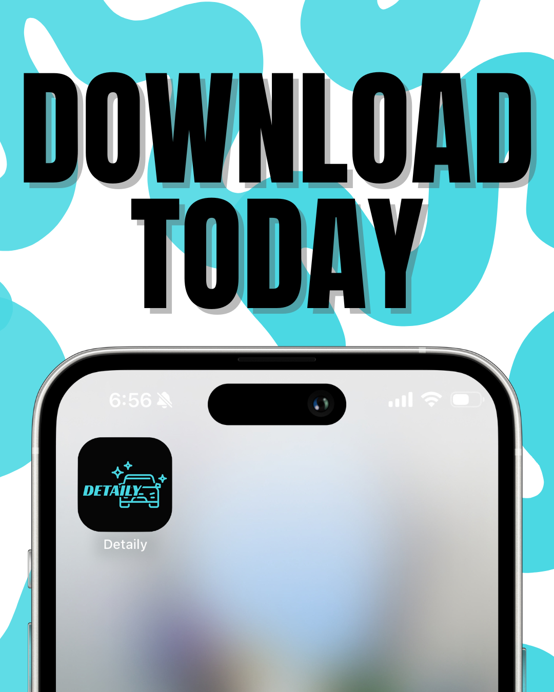 Detaily Mobile Car Detailing Santa Rosa Beach Image