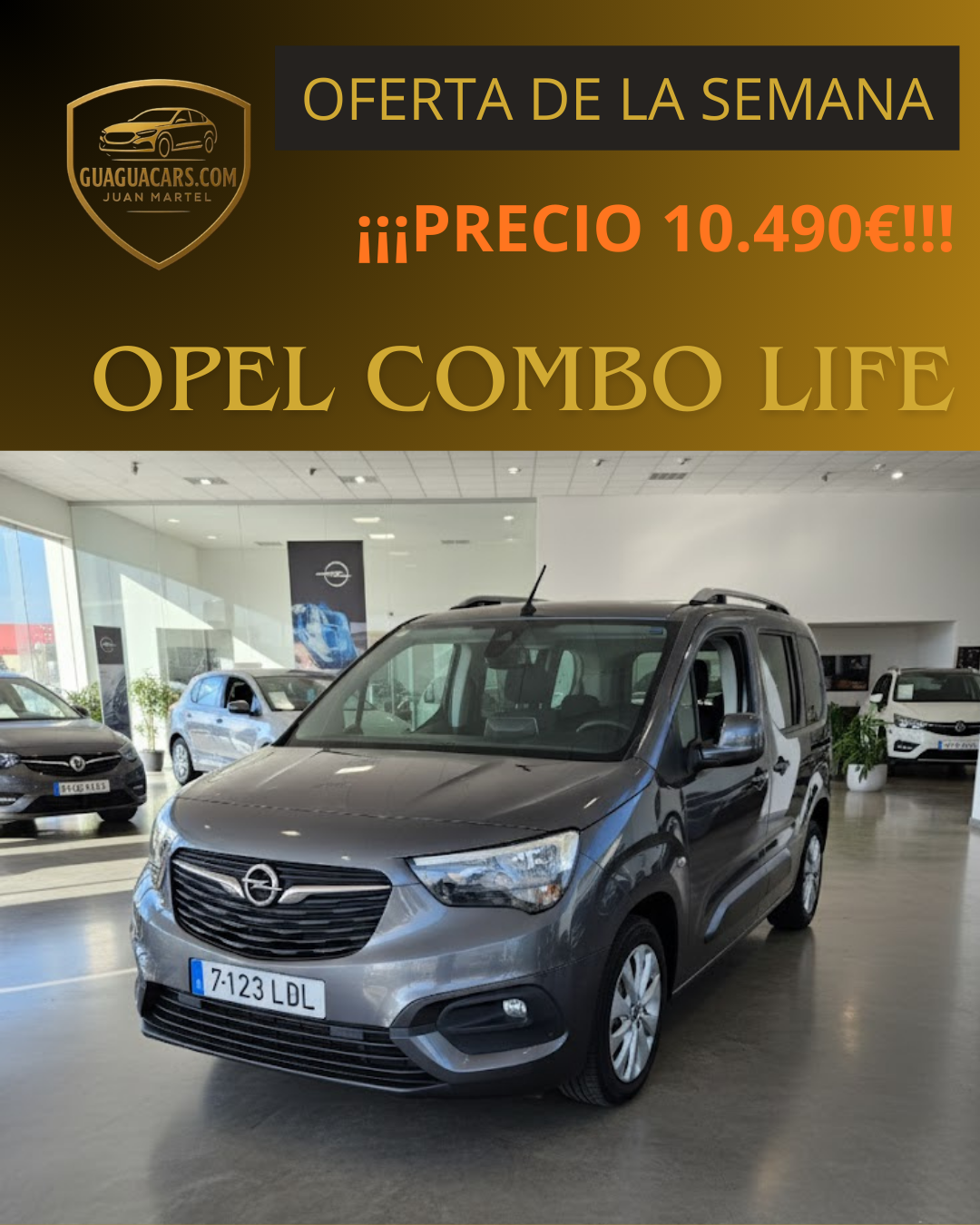 Galería en miniatura