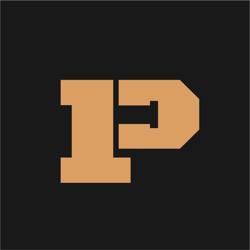 Prime Level Construction