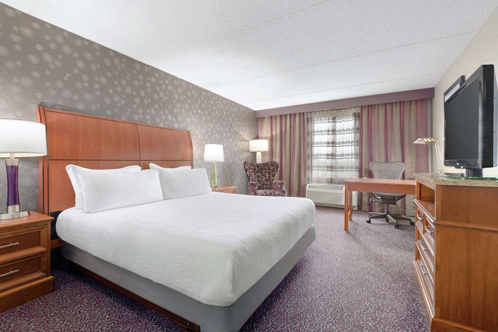 Hilton Garden Inn Springfield, MA Image
