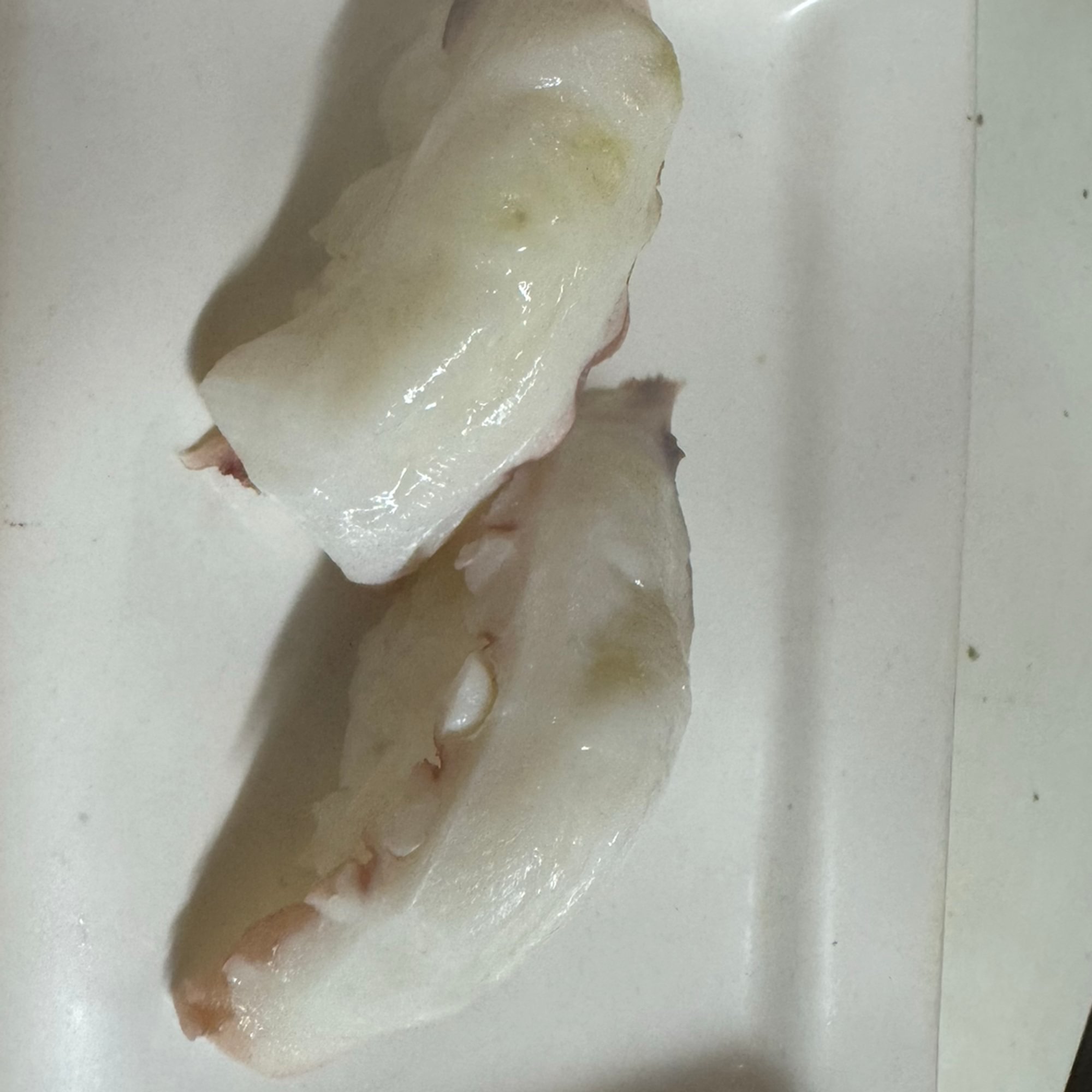 Octopus (N)