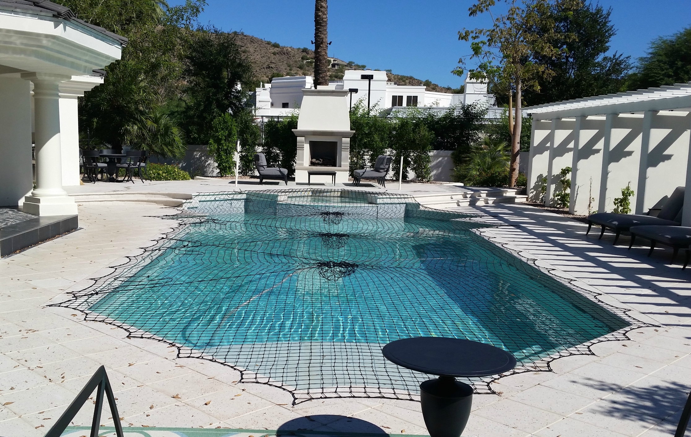 Katchakid's pool safety net in Jet Black on this beautiful, irregular shaped inground pool.