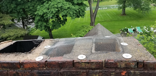 NJ Pest Control Image