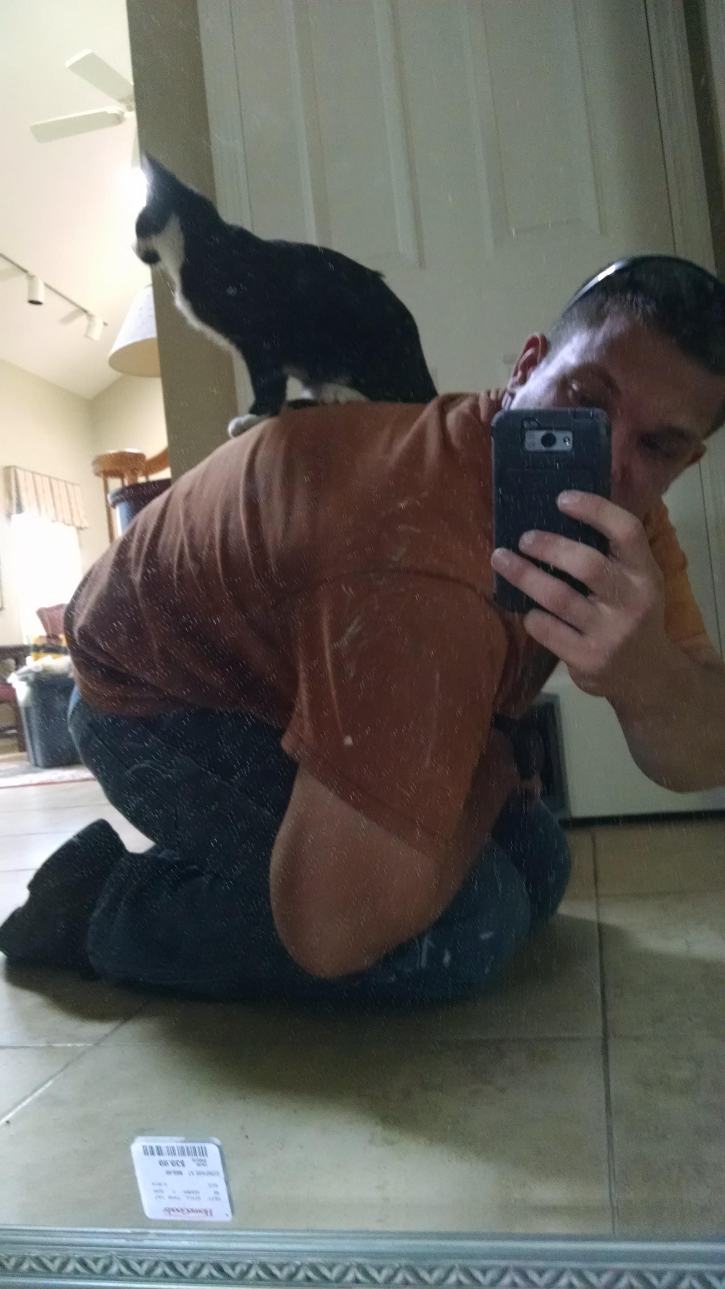 I was on a job painting and I was playing with my customers cat and he decided to jump on my back.