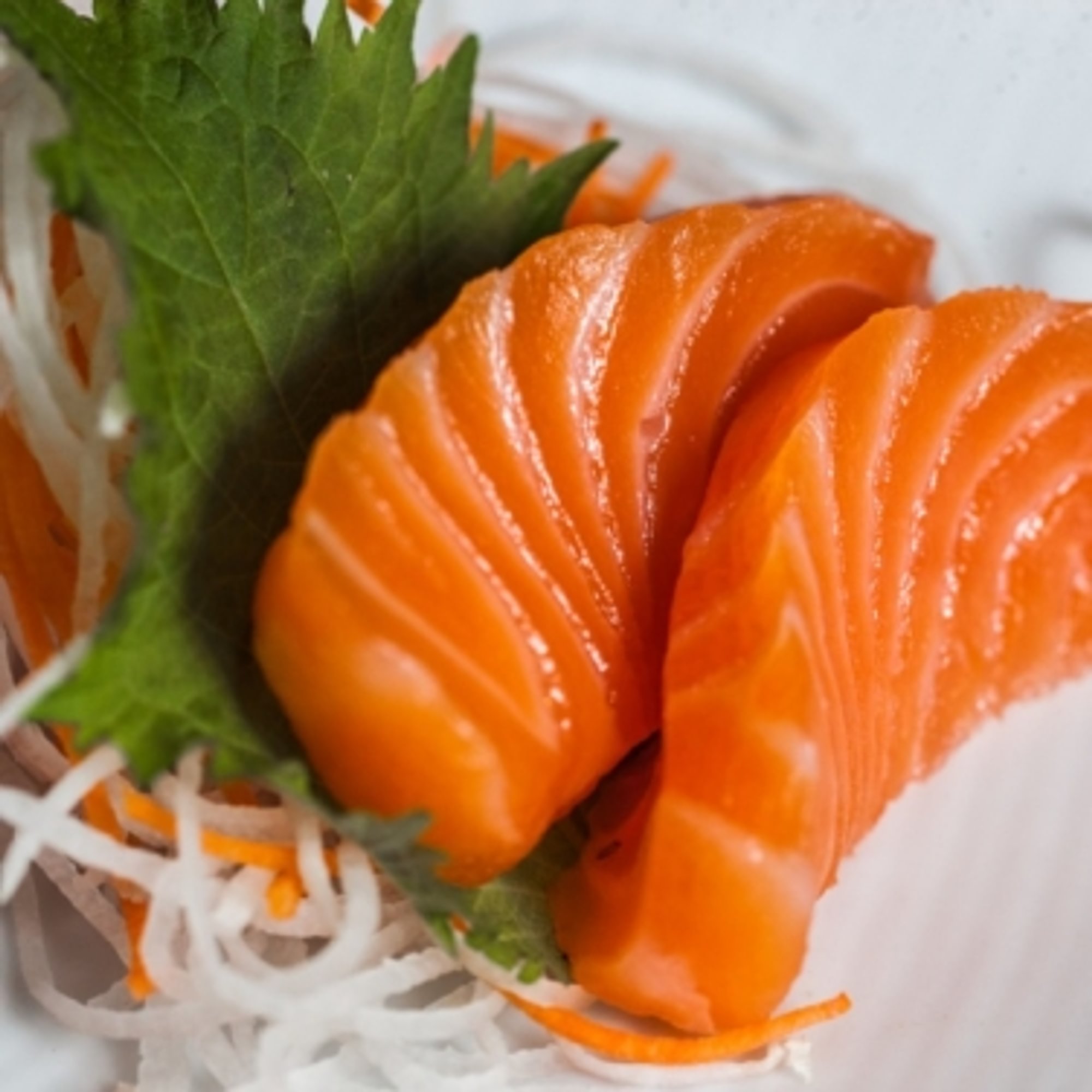 Salmon