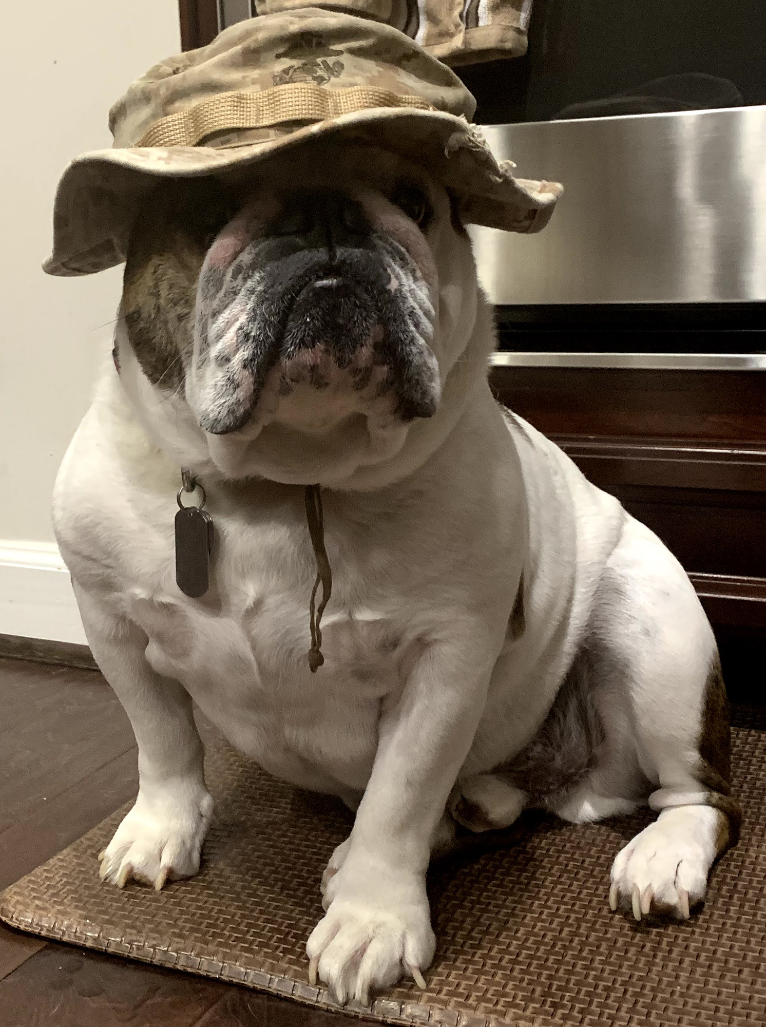 Bulldog Construction Services LLC Image