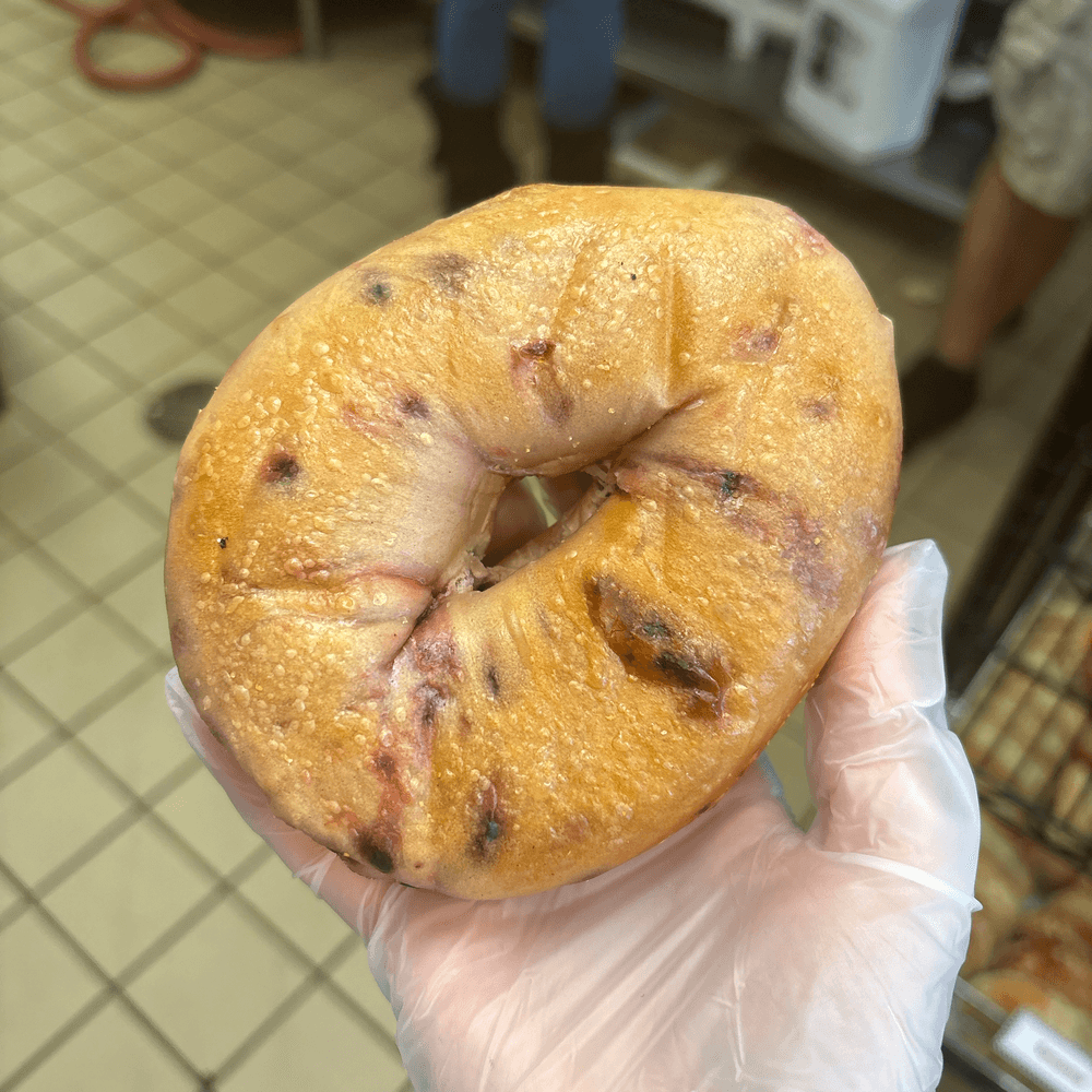 Blueberry Bagel