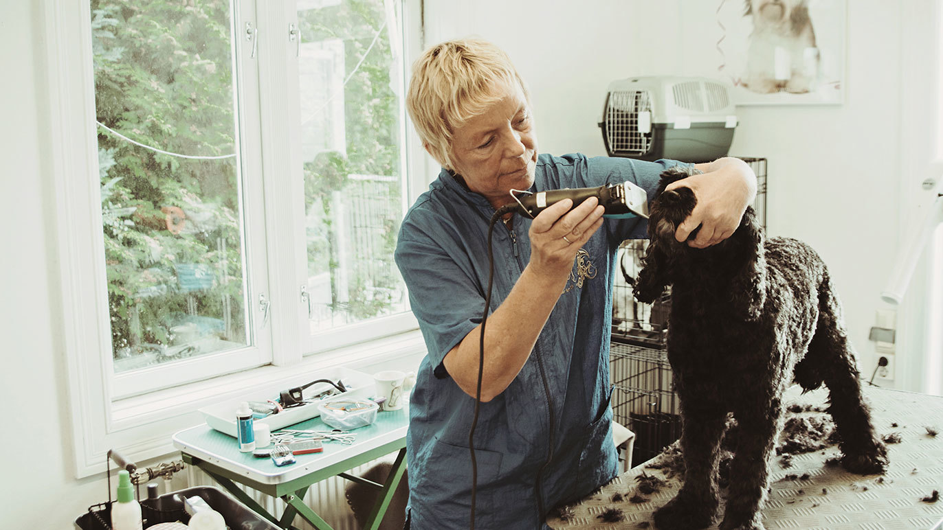 Images Snuta Hundeklipp Mette Ødegård Kristiansen
