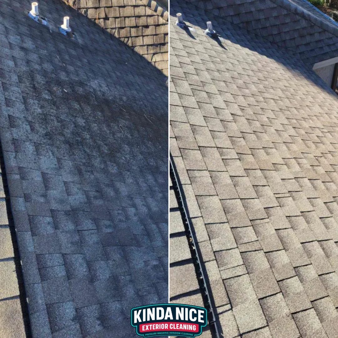 Kinda Nice Exterior Cleaning - Pressure Washing & Window Cleaning Image