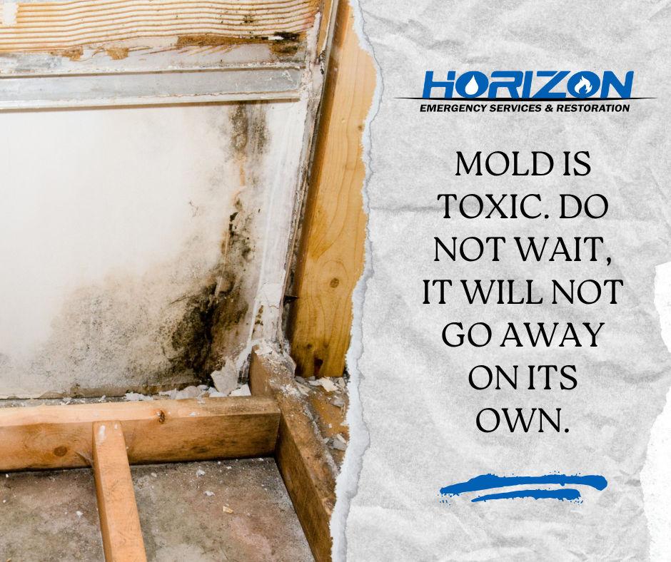 Horizon Emergency Services & Restoration Image