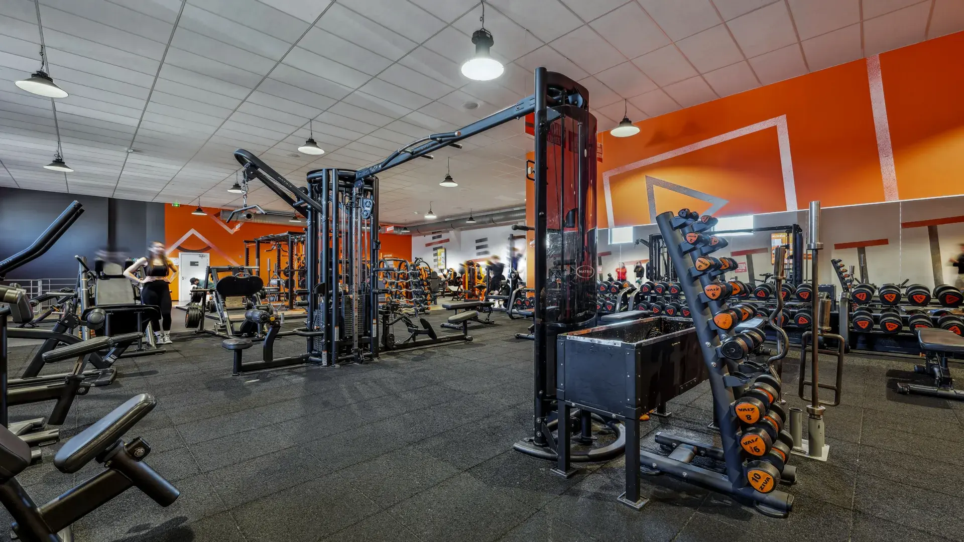 Miniature de la galerie