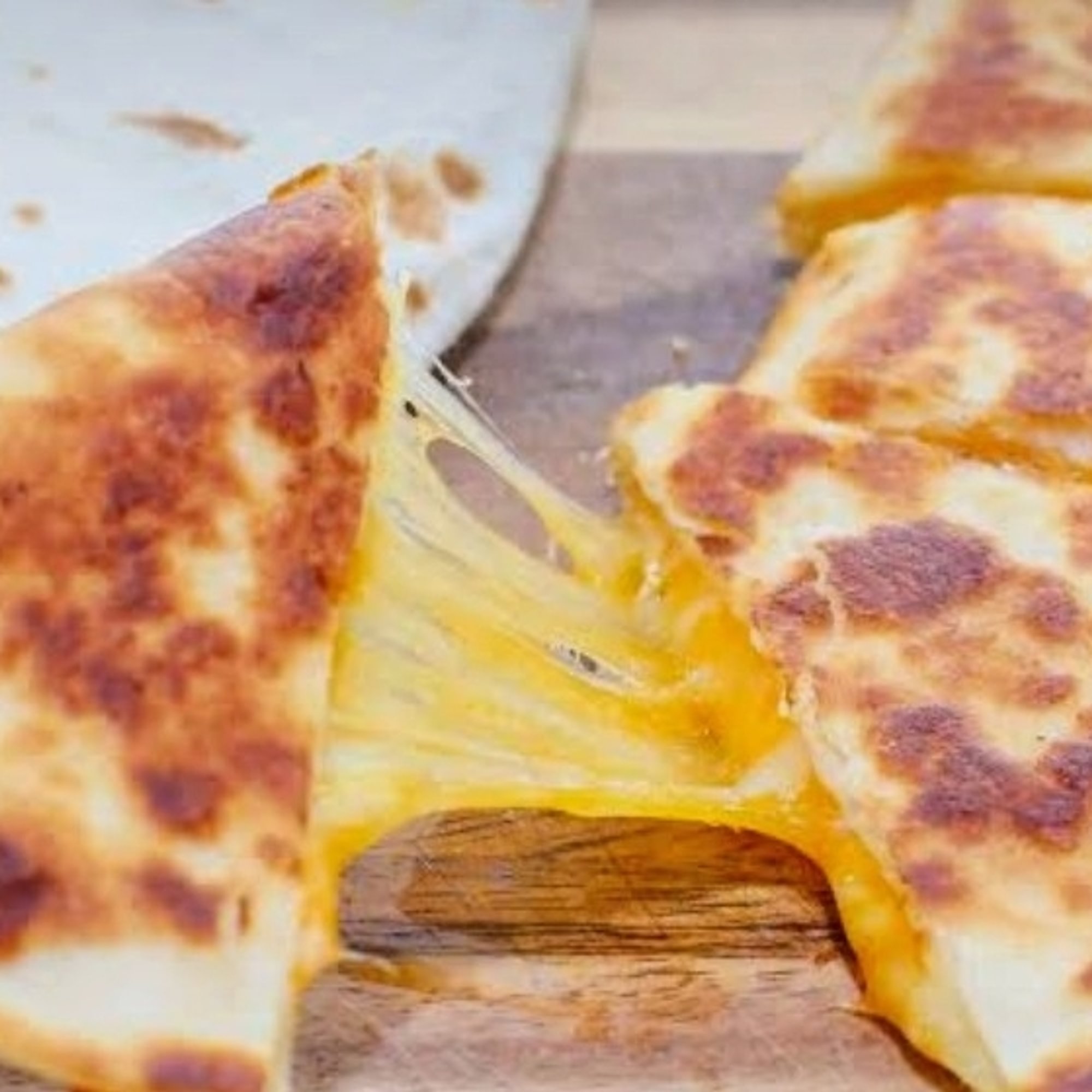 Cheese Quesadilla