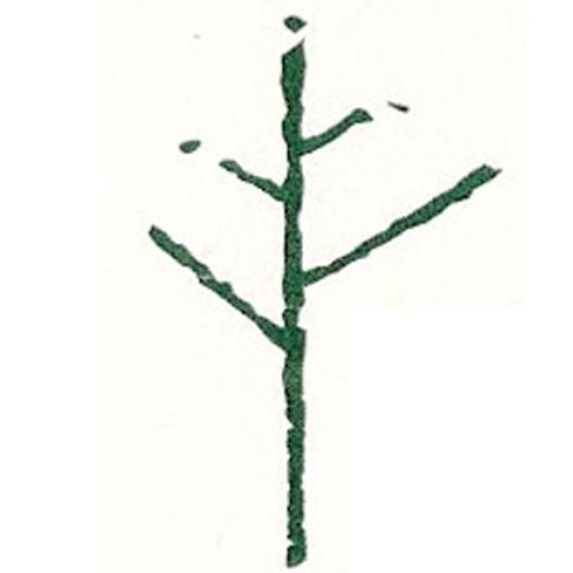 Contemporary Landscape Design Logo