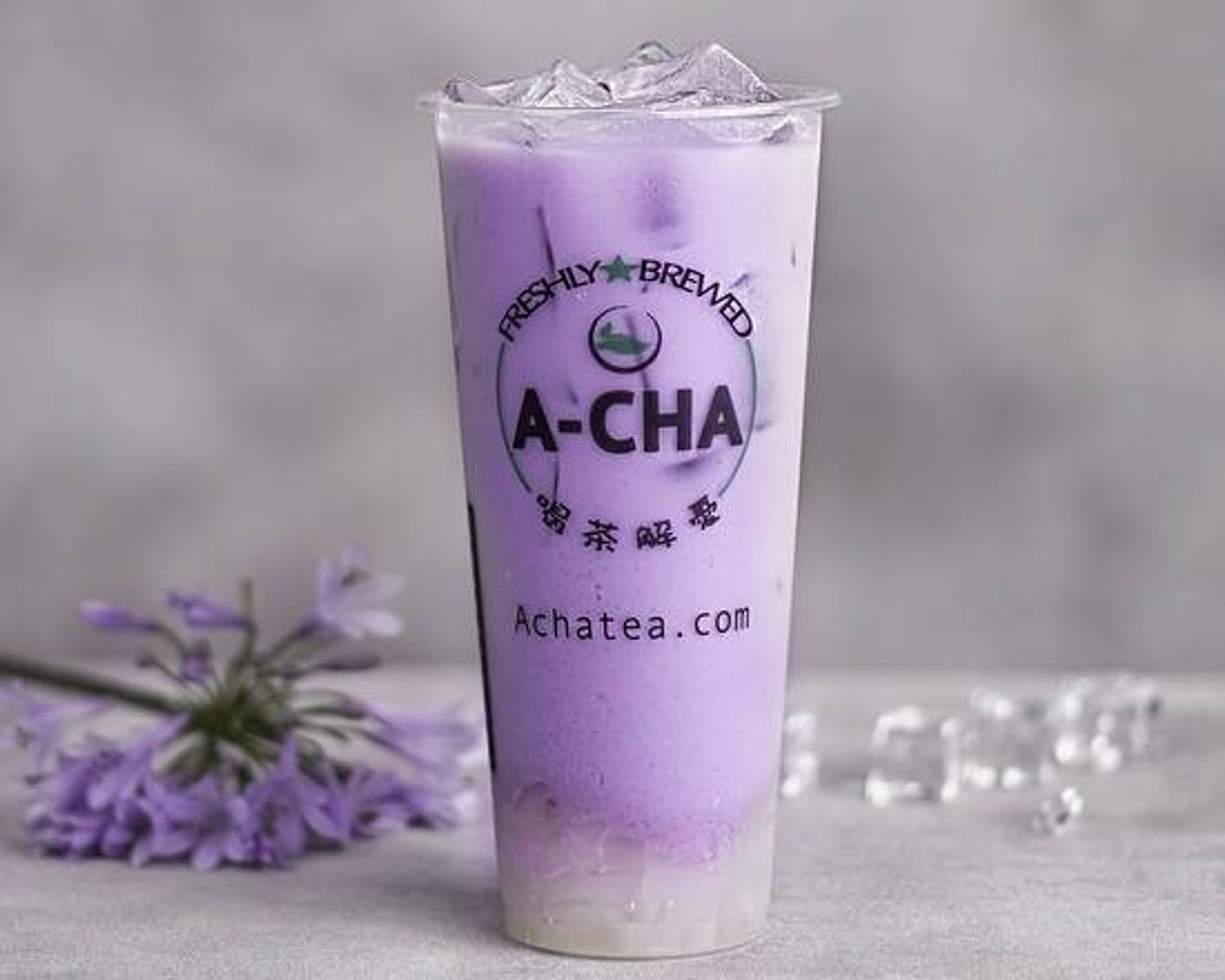 Milk Tea
