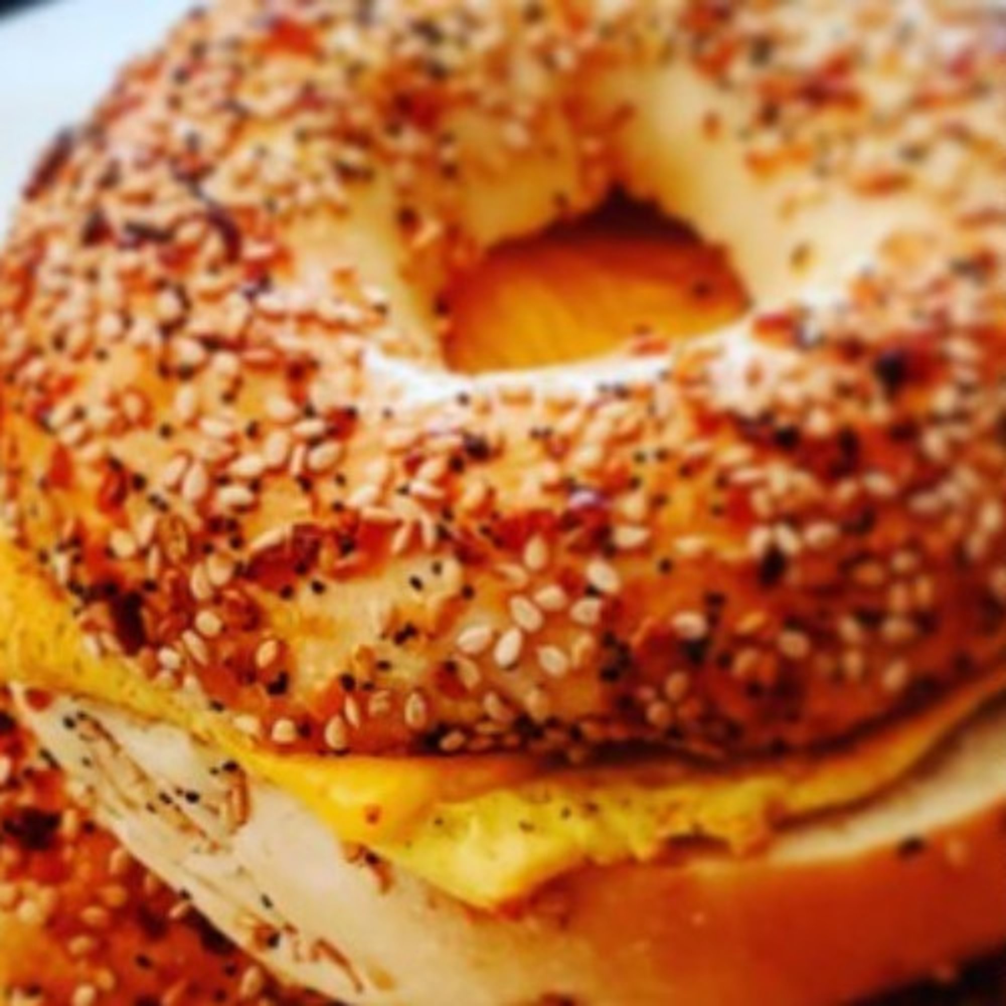 Egg, Cheese on Bagel with Hash Brown