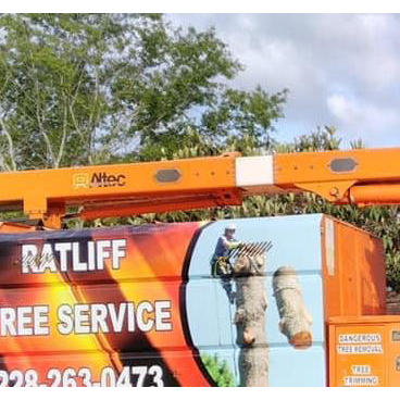 Ratliff Tree Service Logo