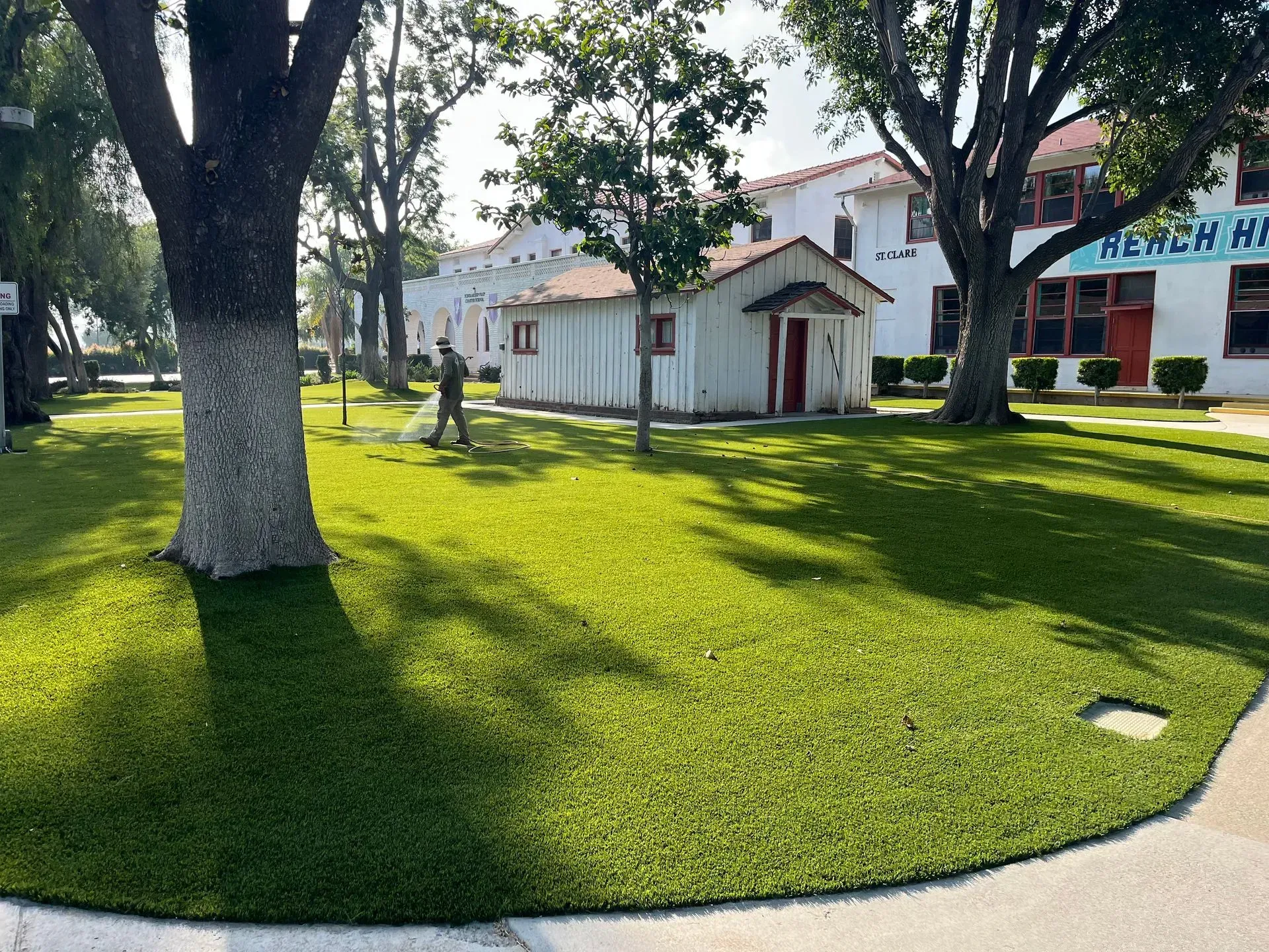 Commercial Turf