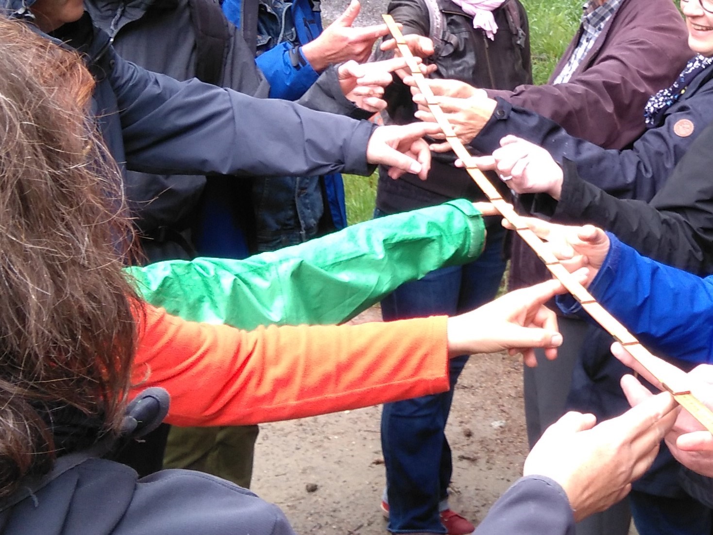 Teamentwicklung
