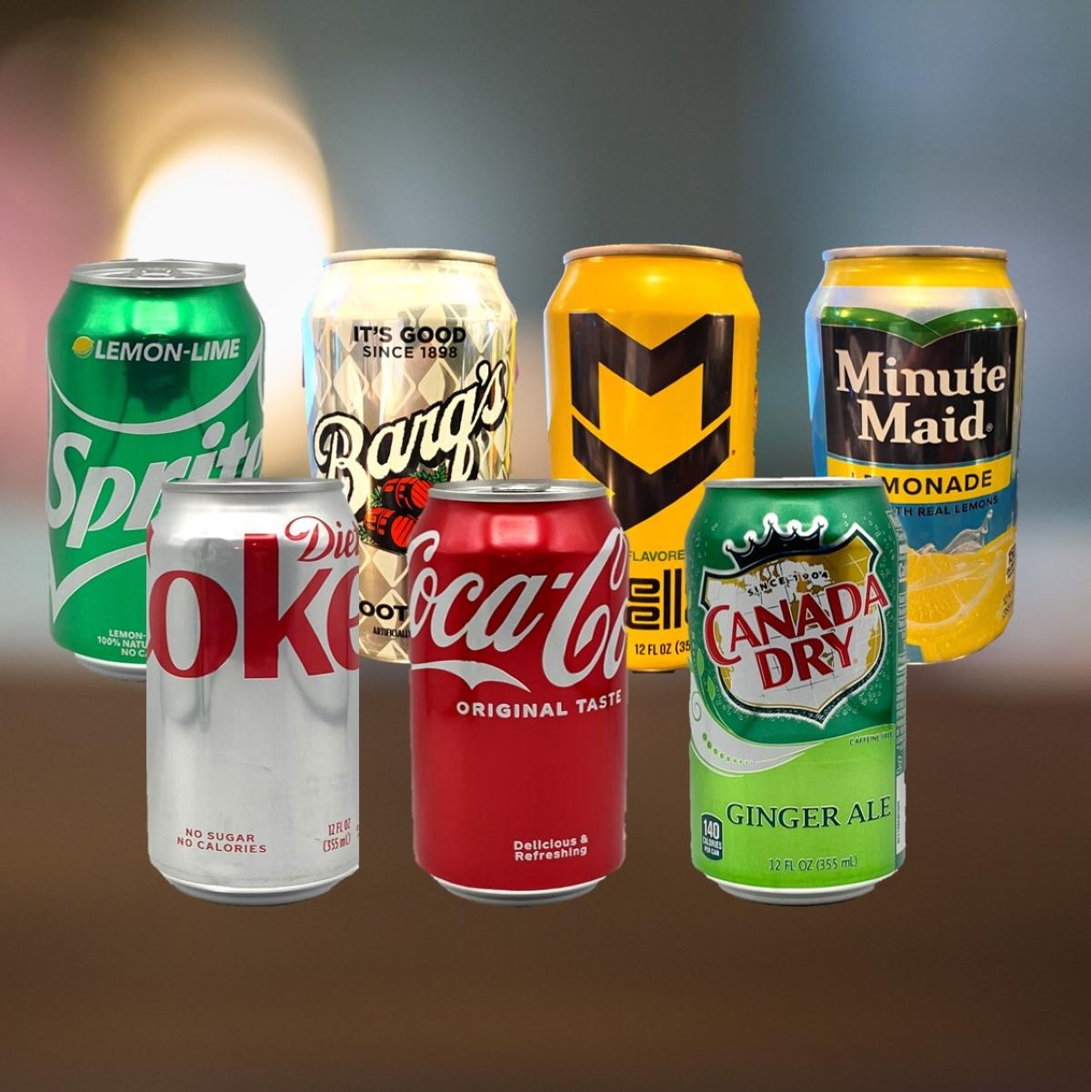 Assorted Sodas (Set of 10)