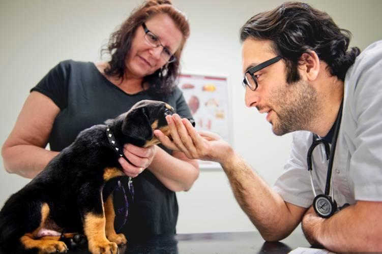 Images Södermalms veterinärklinik AB