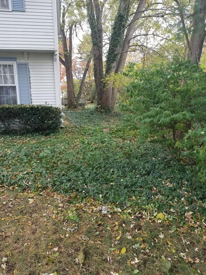 Back Hurt's Lawn Care Photo