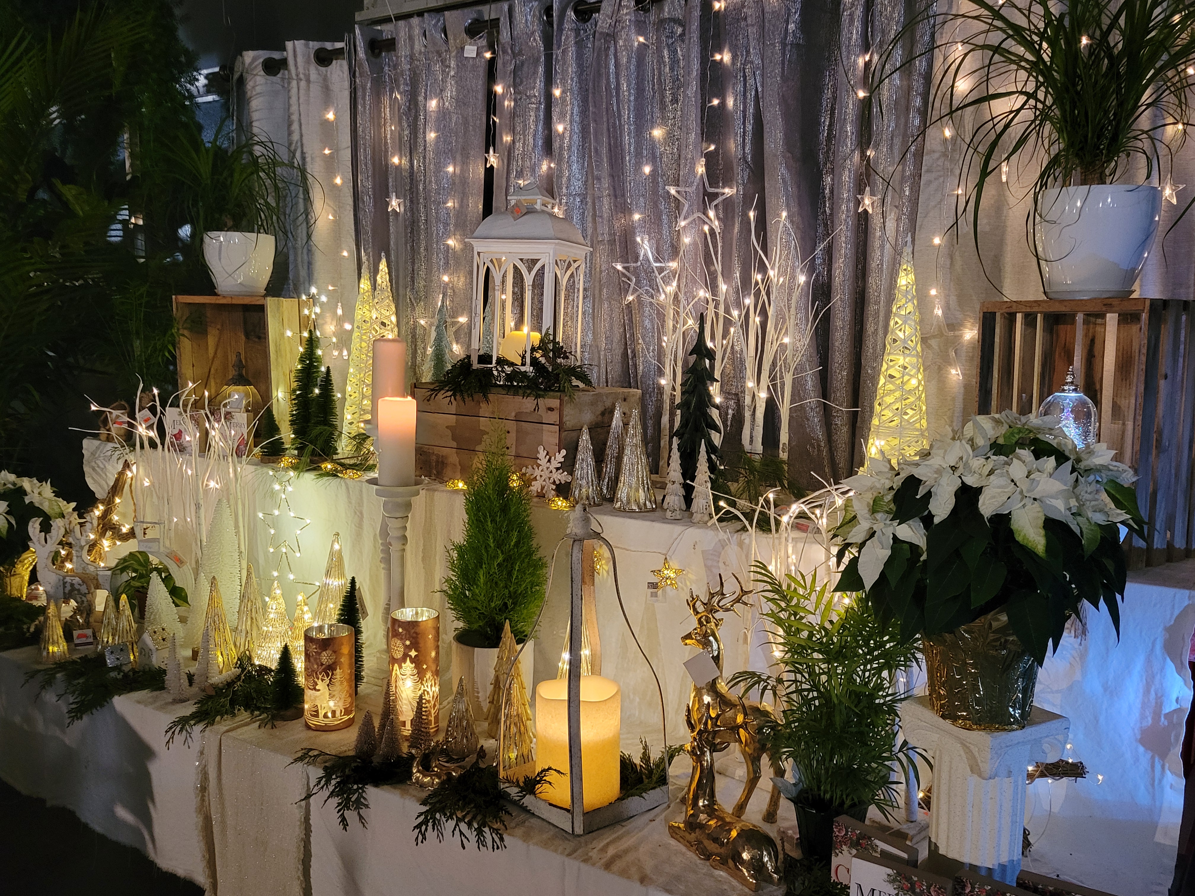 Sunny Spot Nursery Image