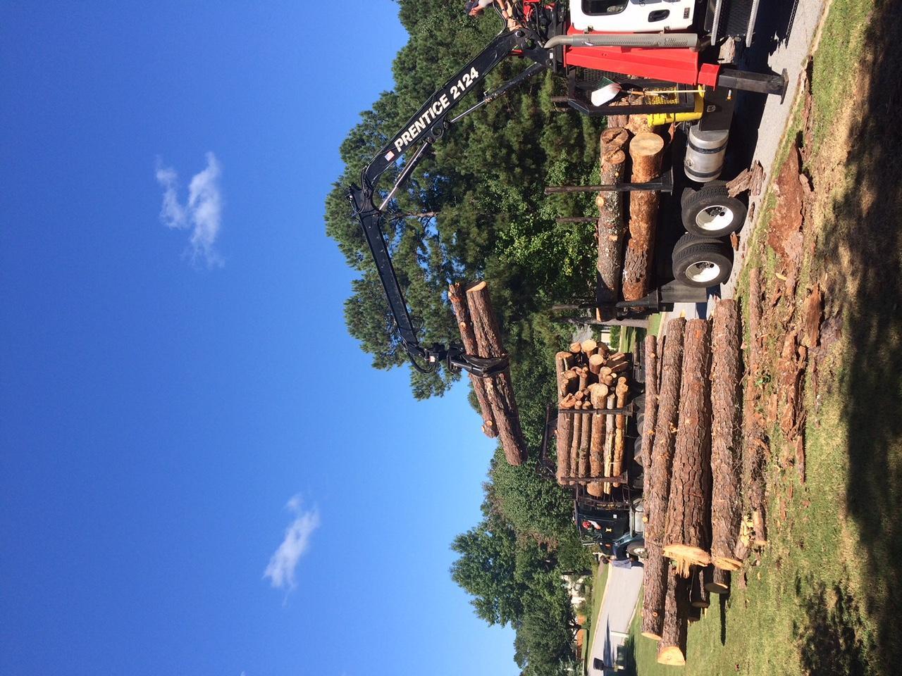 TreeDog Atlanta Services LLC Image