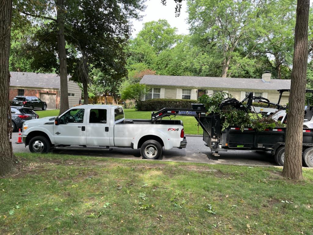 Happy Lemon Tree Service Image