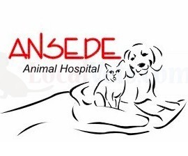 Ansede Animal Hospital Photo