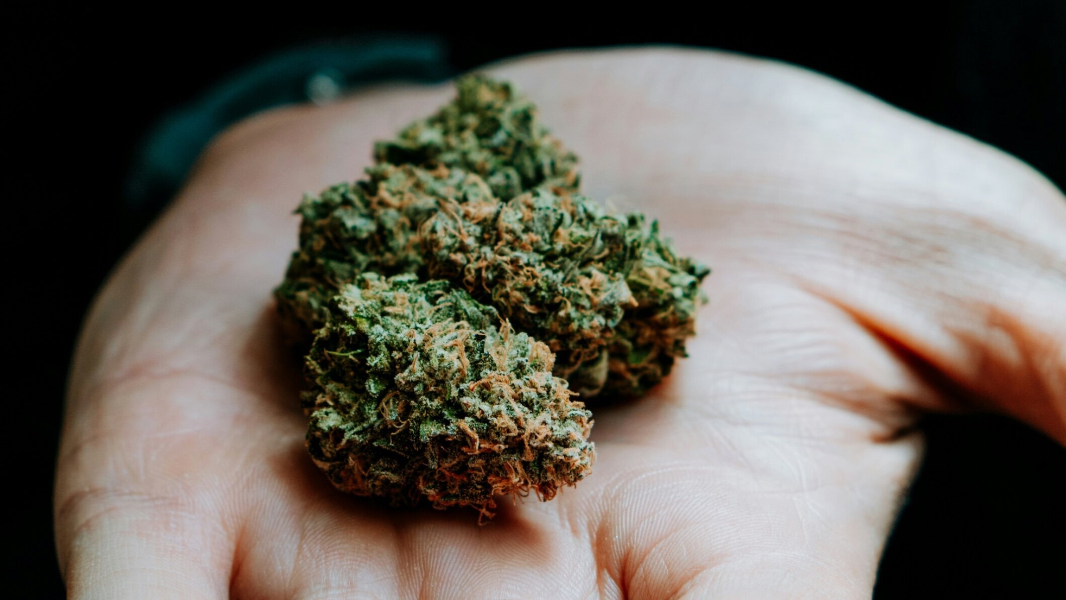 Minnesota Dispensary & Weed Delivery Image