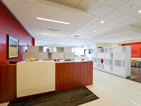 Regus - Florida, St. Petersburg - Echelon Pointe Photo