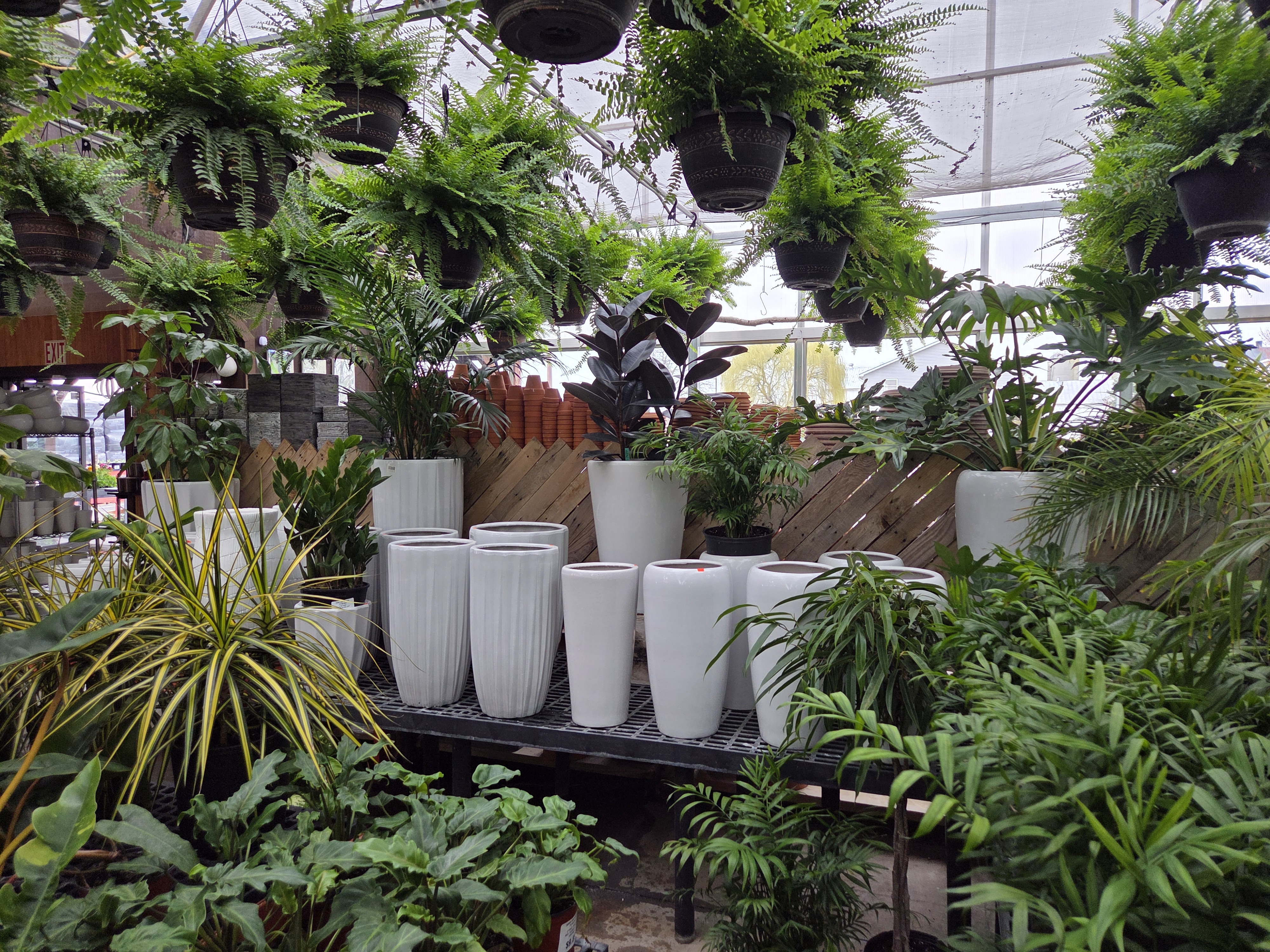 Sunny Spot Nursery Image