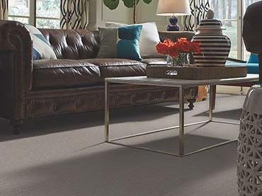 Shaw Carpet