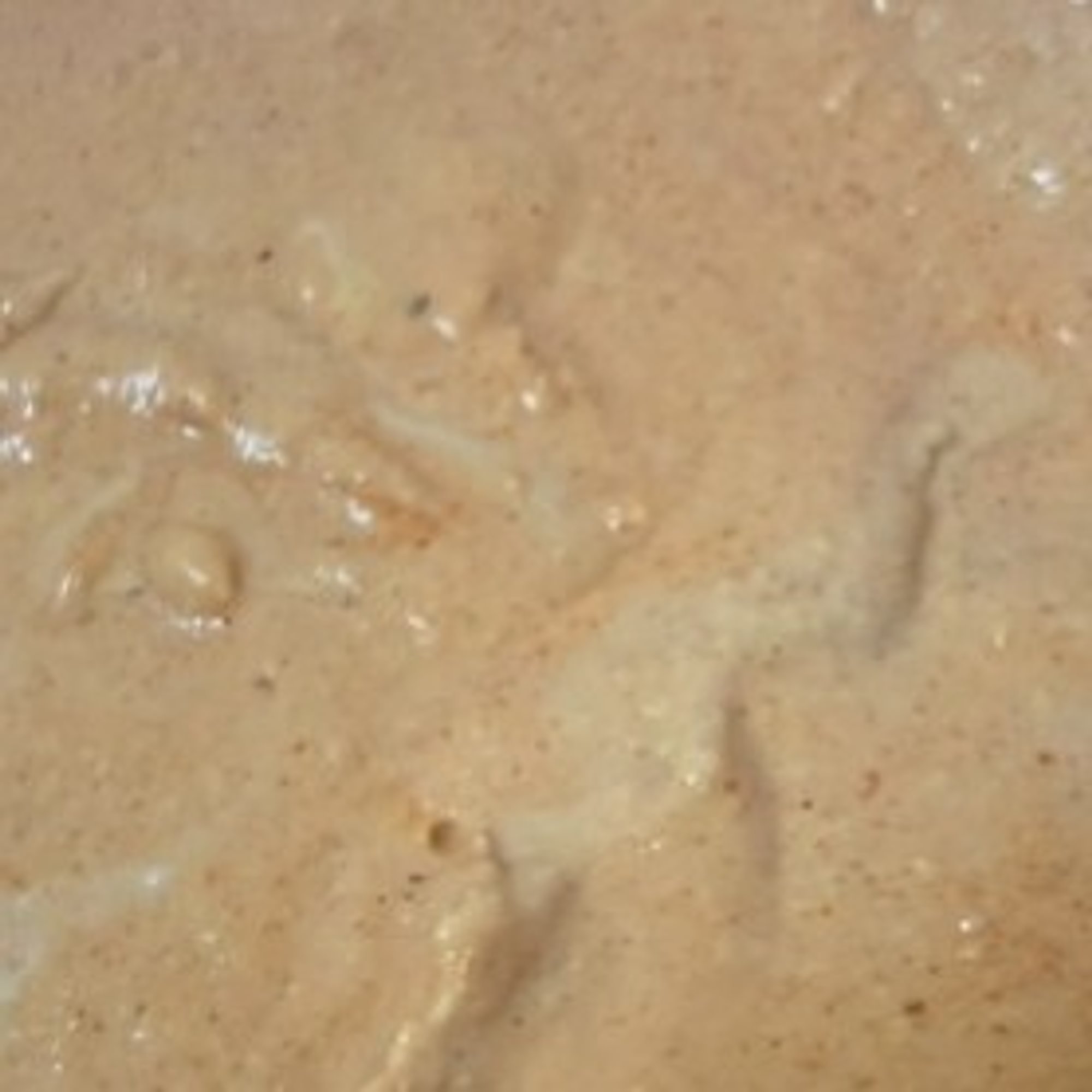 Cajun Hummus