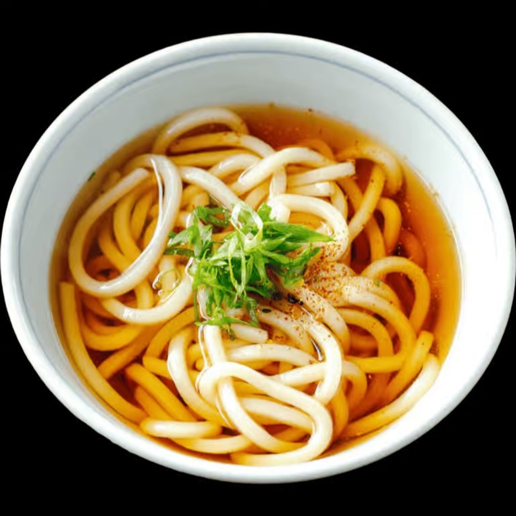 Vegetarian Udon