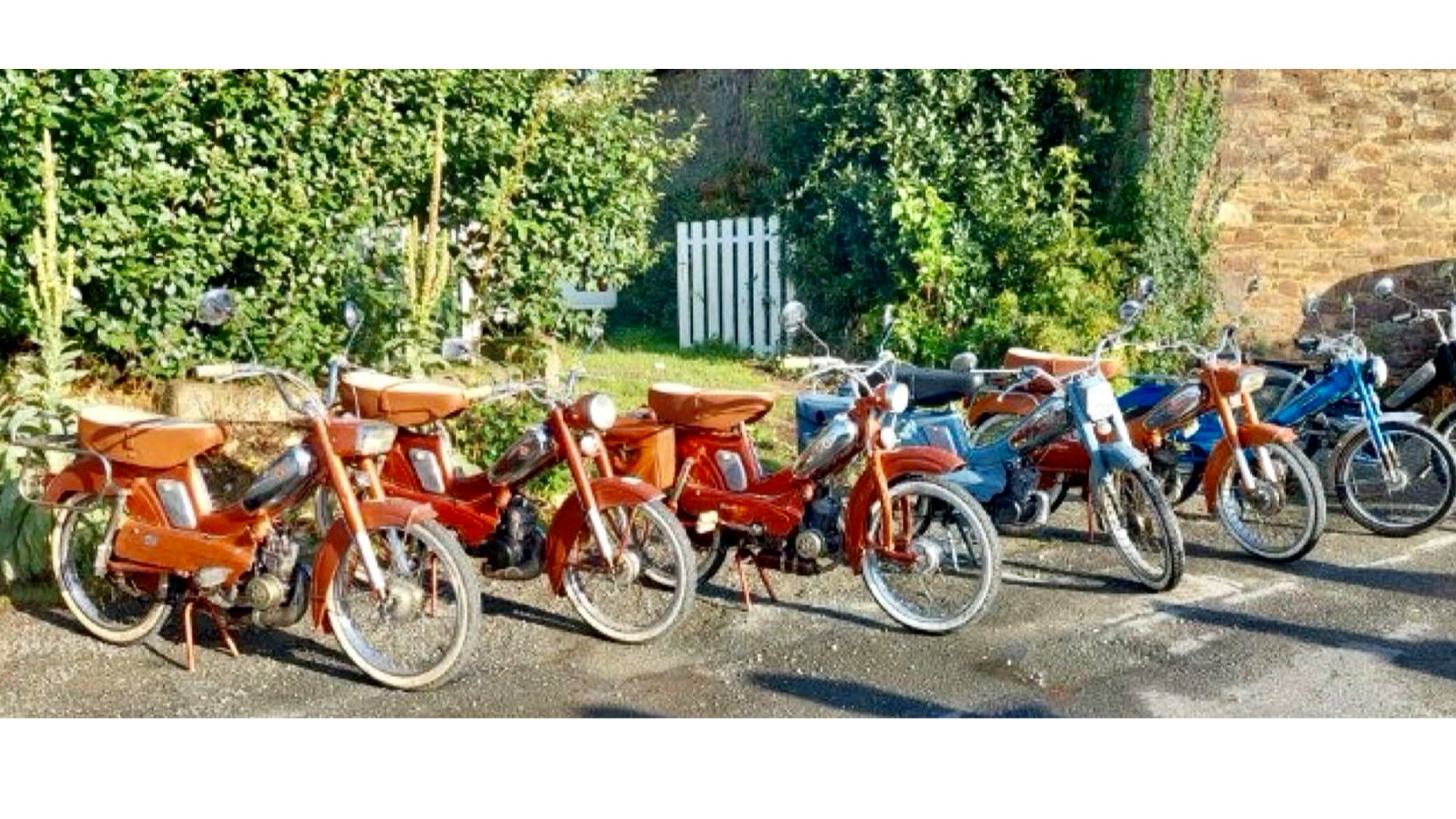 Miniature de la galerie